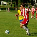 IMGP2517.jpg