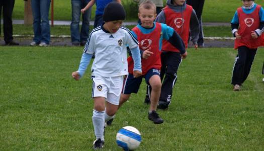 Sindi Cup 2011
